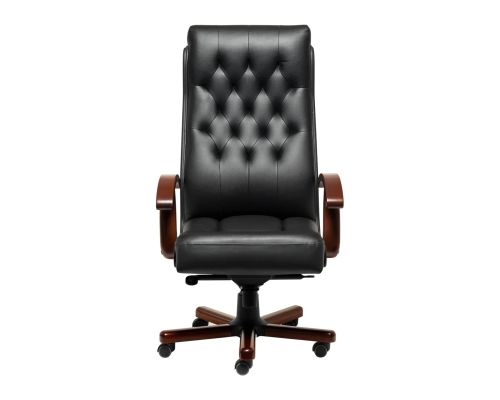 Кресло Darwin A