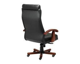 Кресло Darwin A images