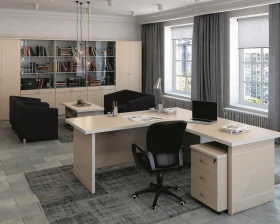 Кабинет руководителя Зум / Zoom images