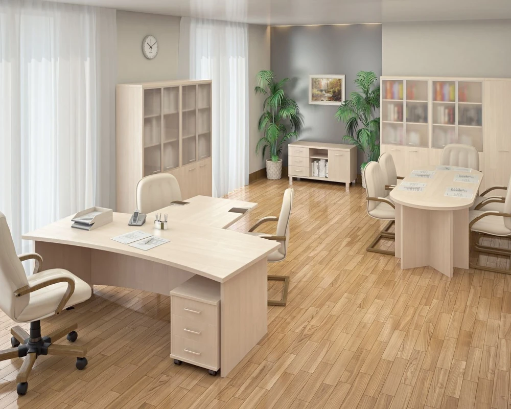 Кабинет руководителя Фёст / First