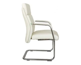 Кресло RV ДИЗАЙН Дали-СФ / Dali-SF (C 1511) images