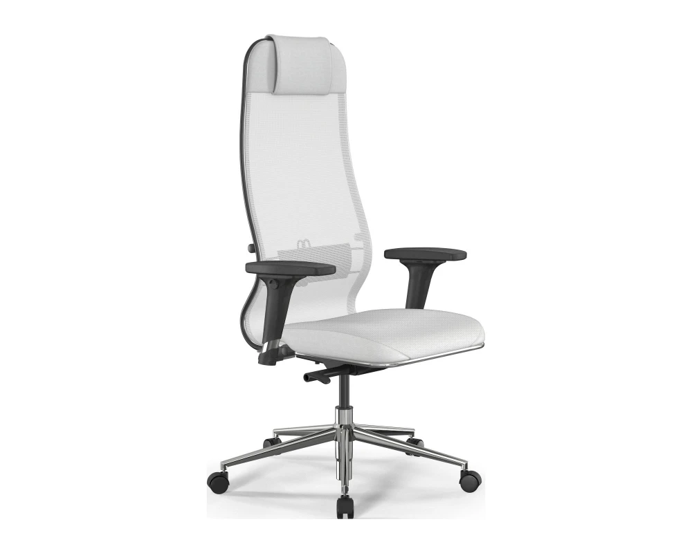 Кресло ErgoLife SynchroSit 10 B1-115D M23.B23.G18.W02 Сетка/Экокожа, Белый