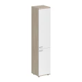 Дуб светлый