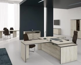 Кабинет руководителя Torr images