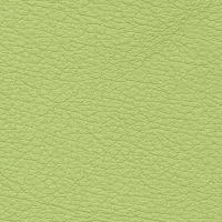 CONSUL-Phistachio-2030-G70Y